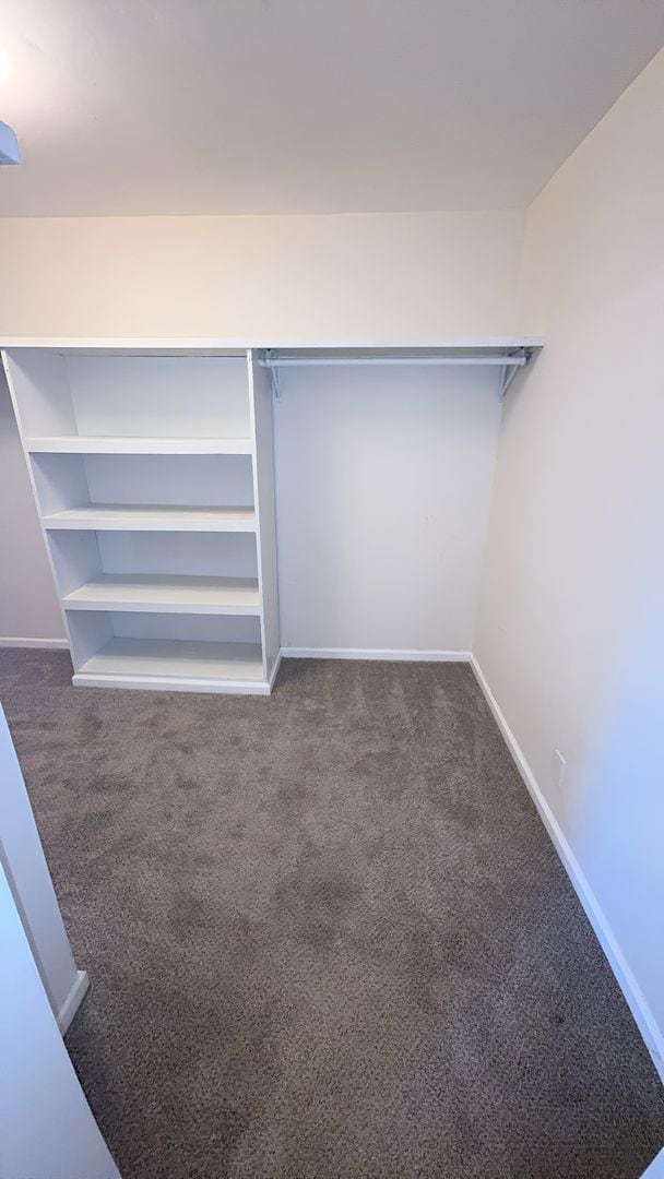 Building Photo - 401 Sheppard St