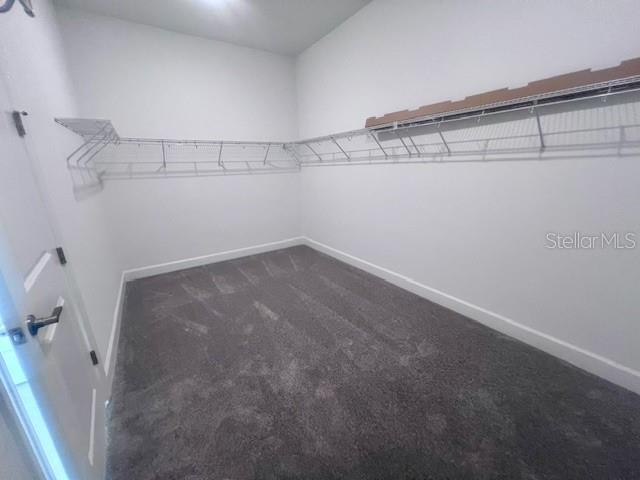 Building Photo - 8101 Wild Blue Ter