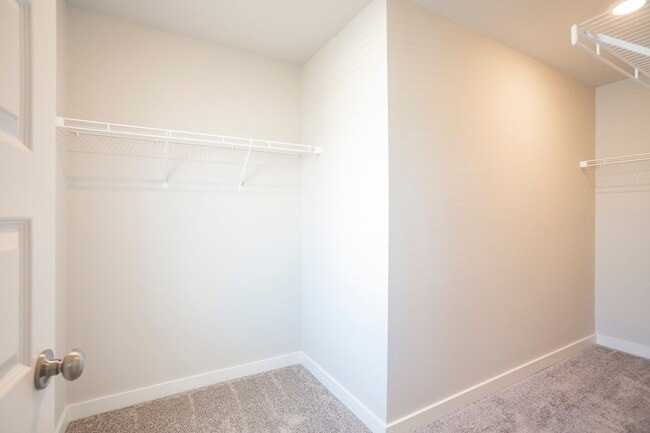 Building Photo - 4509 Sardius Dr