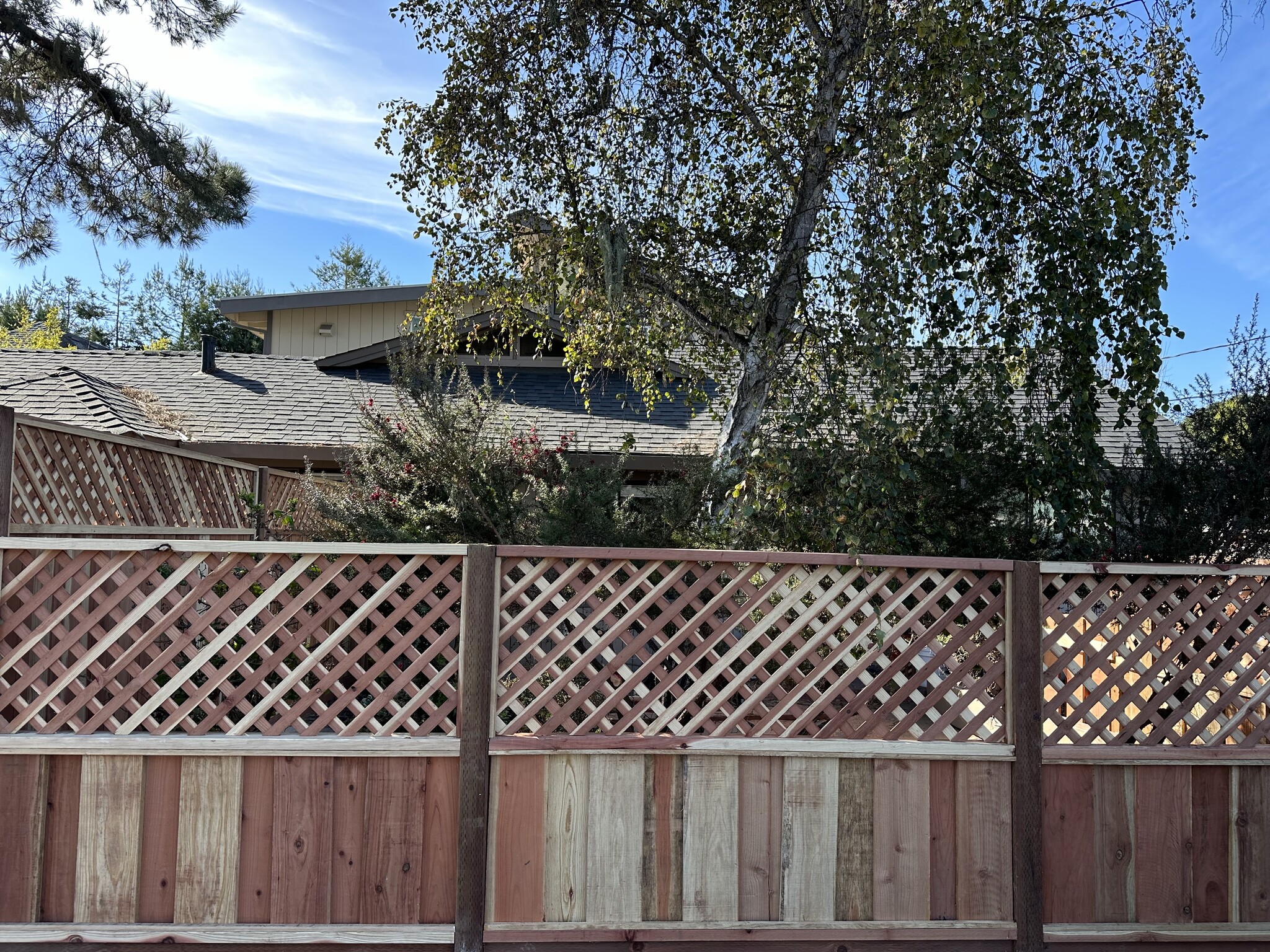 Street View of private fenced yard - 681 37th Ave