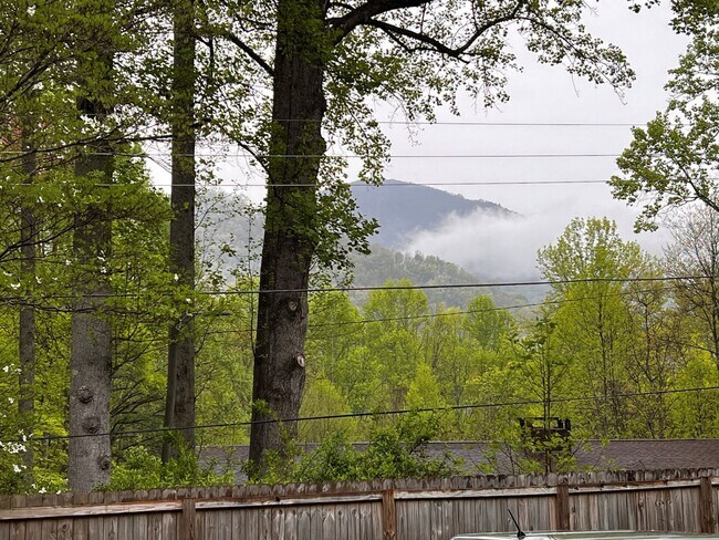 Building Photo - Beautiful setting in Maggie Valley