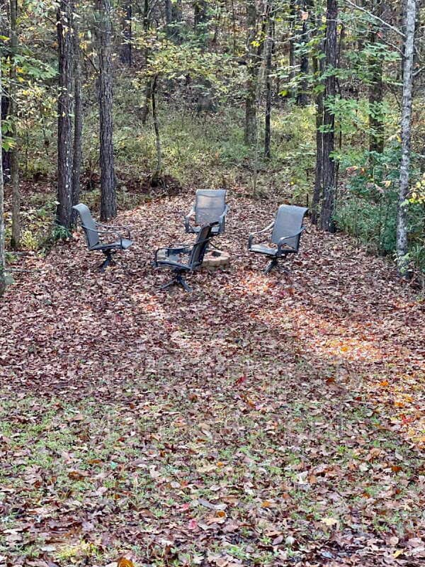 Building Photo - 59 Walnut Ct