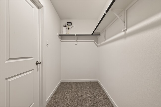 Building Photo - 3539 Shearwater St