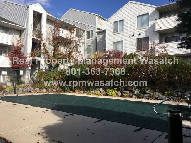Primary Photo - Charming 3 Bedroom 2 Bathroom Downtown Condo!