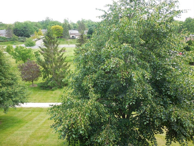 Building Photo - 2116 Pauline Blvd