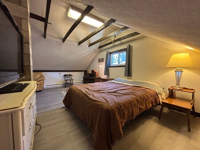 Building Photo - 20 Minutes to Breckenridge! Walk to everything Alma! Wood burning fireplace and fully furnished!