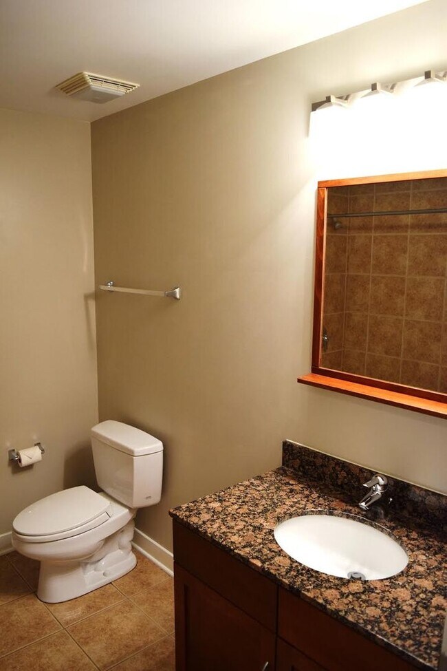 Building Photo - South Loop Chicago 1 Bed 1 Bath Apartment
