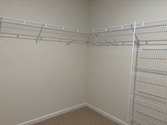 Building Photo - 4 Bedroom, 2 Bathroom House in Trinity!