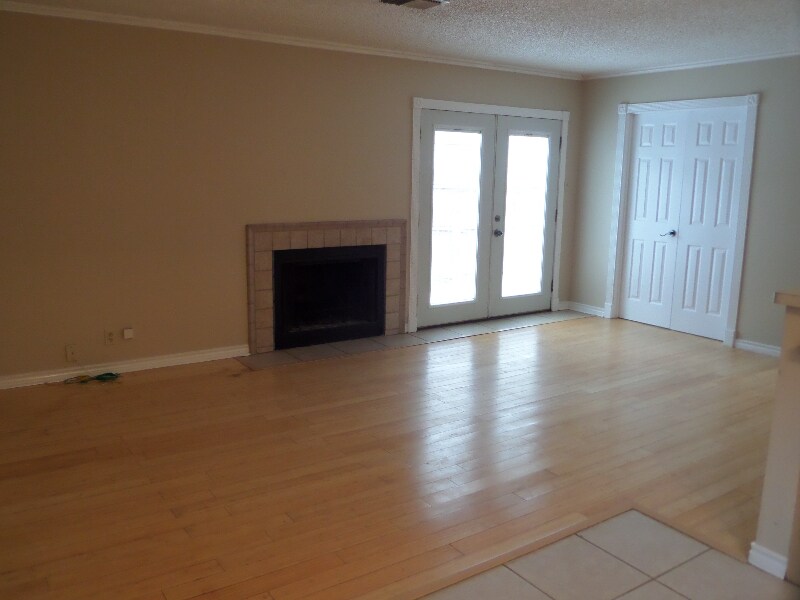Fireplace and side of home exit - 6839 Arbor Springs Dr