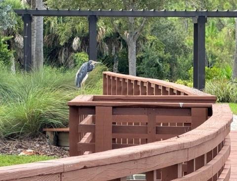 Building Photo - 261 Potenza Lp