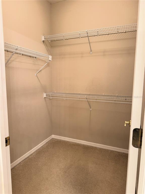 Building Photo - 417 Lake Butler Dr