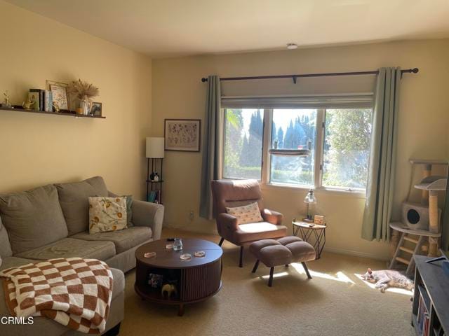 Building Photo - 233 Camino La Madera