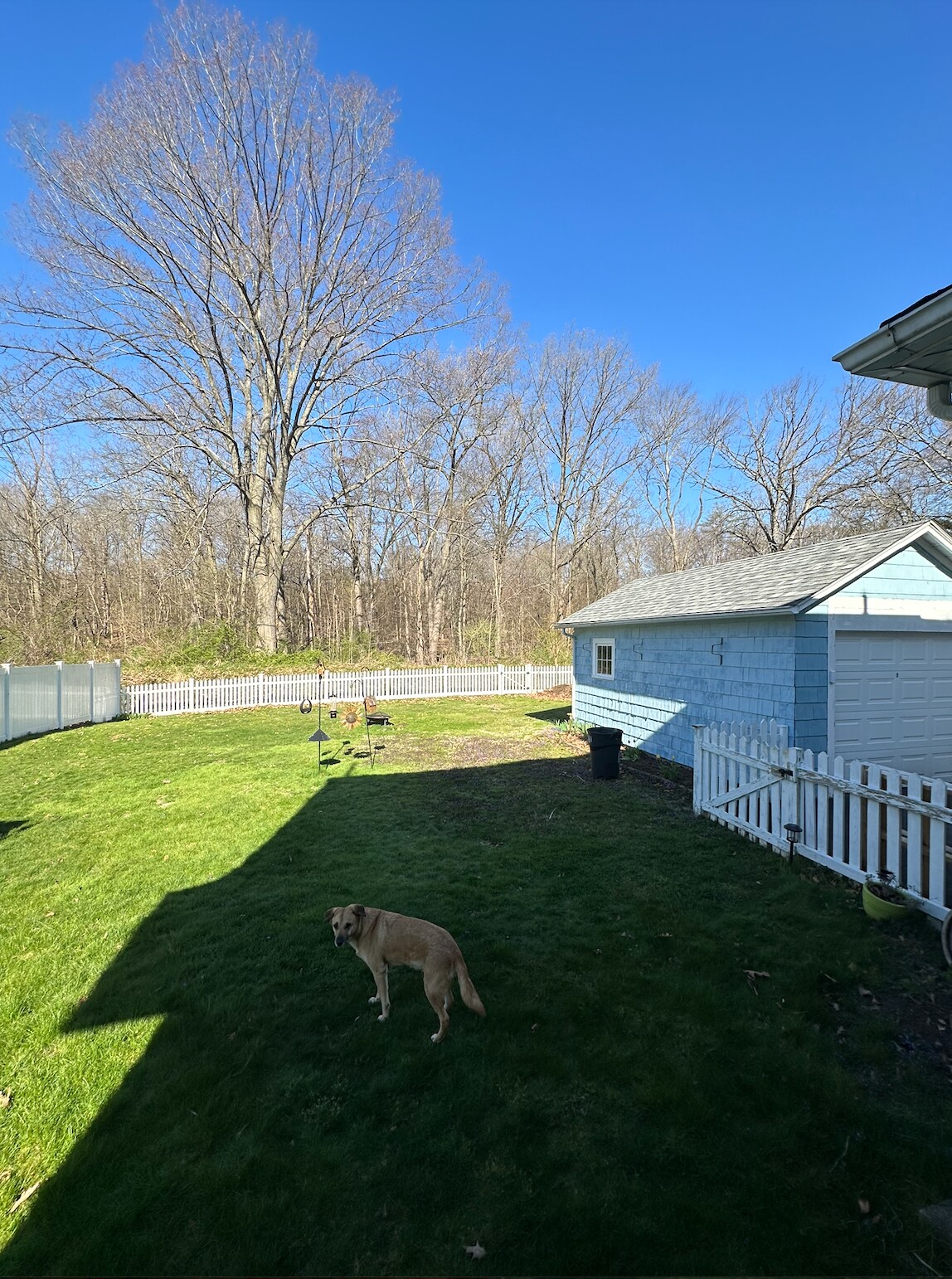 Building Photo - 61 Norwood Ter