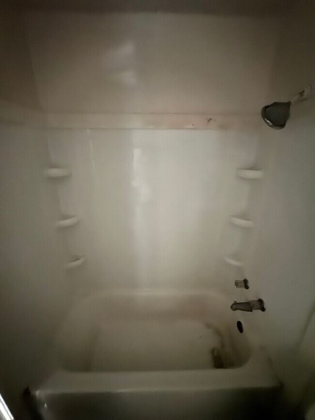Building Photo - (Currently working on the property) 3/2 in...