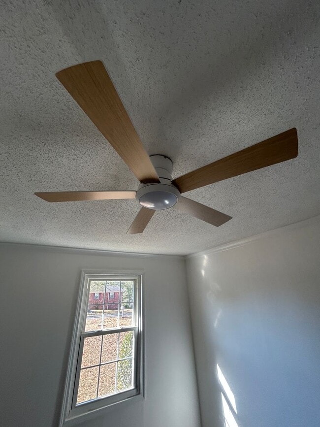 Building Photo - 59 Cricket Ln