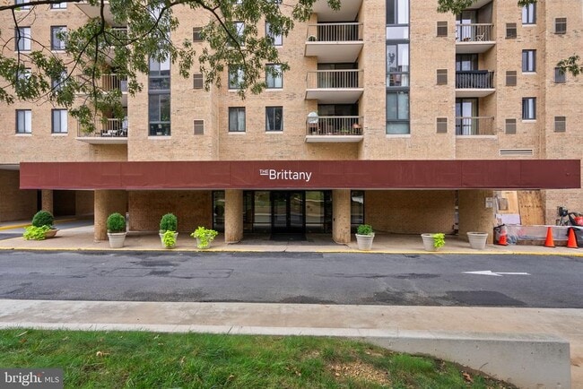 Building Photo - 4500 S Four Mile Run Dr