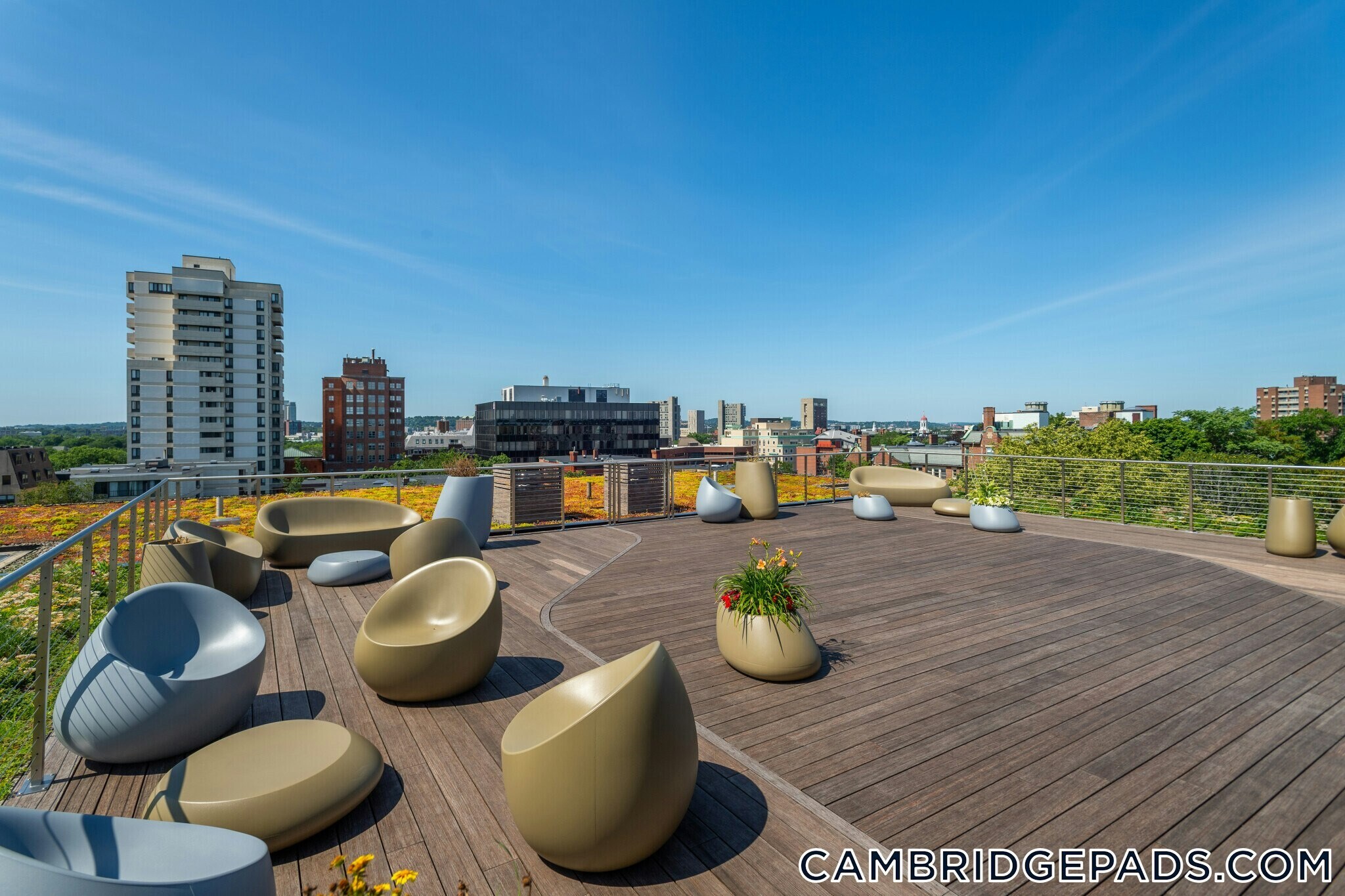 Building Photo - 334 Harvard St