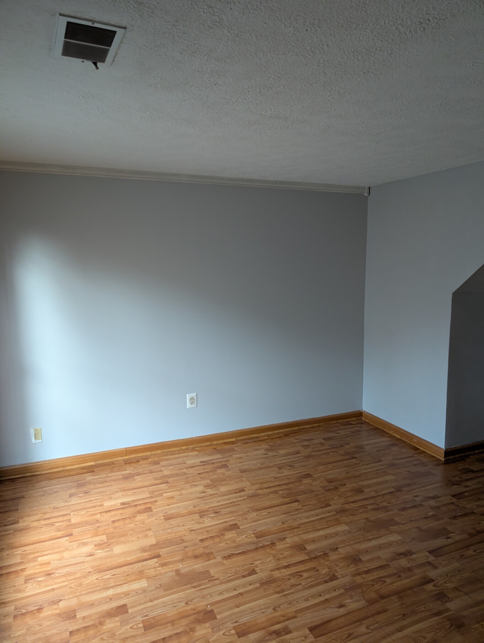 Living Room - 13469 Demetrias Way