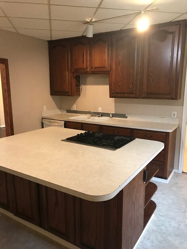 kitchen with large island w/ built in gas cook top - 2107 Briggs St