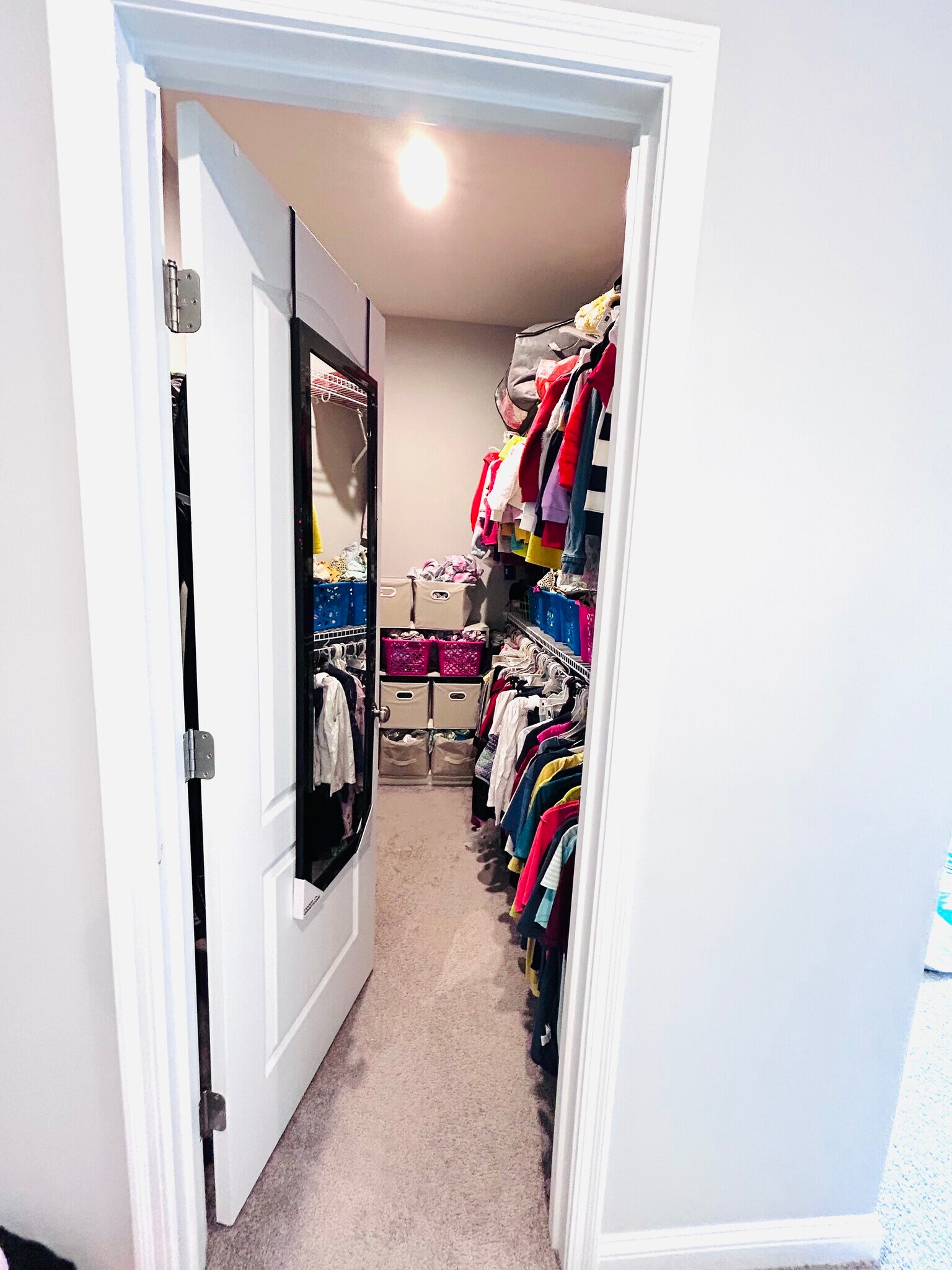 Building Photo - 1504 Englewood Ct