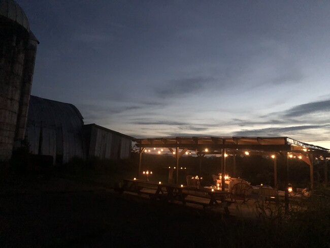 Pergola at dusk - 388 Eichybush Rd