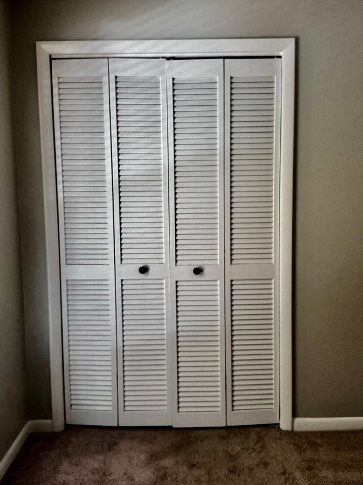 Guest closets. - 122 Turnwood Ln