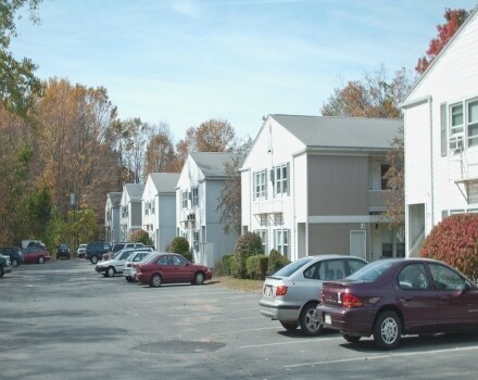 Primary Photo - Mill Hollow