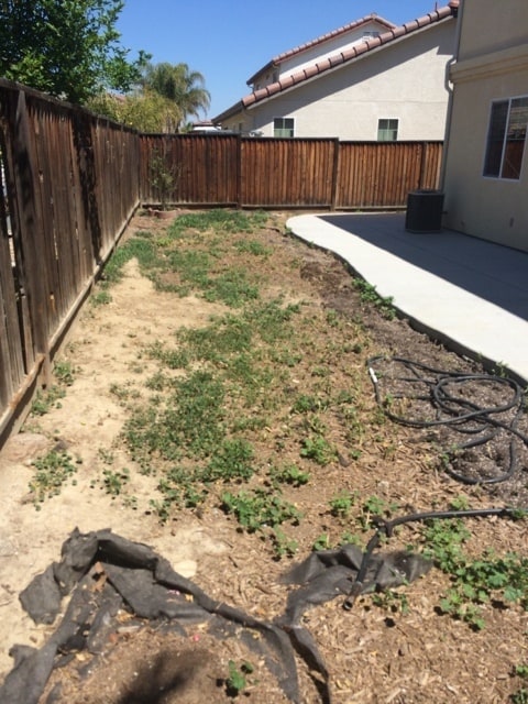 Building Photo - 2328 S Fallbrook Dr