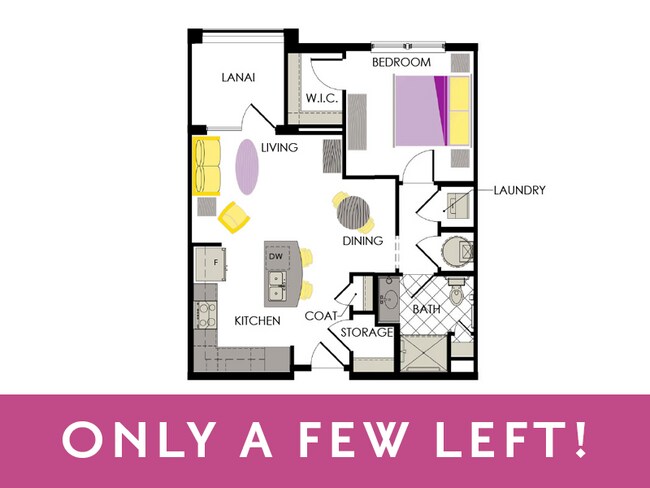 Marigold - Arcadia Gardens