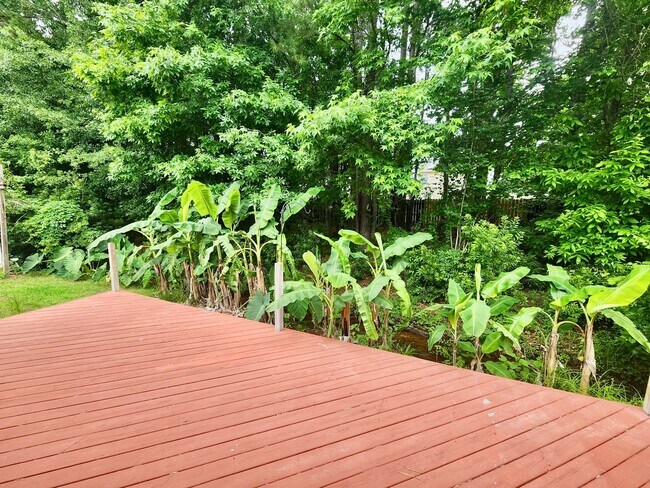 Building Photo - Spacious 3 bedroom with an outside oasis -...