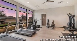 Building Photo - 5210 Scoria Trl