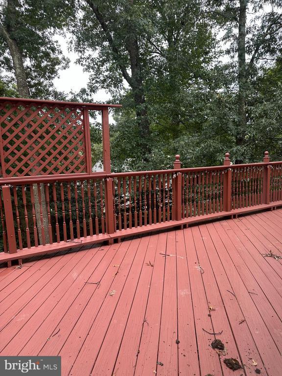 Building Photo - 7811 Wendy Ridge Ln