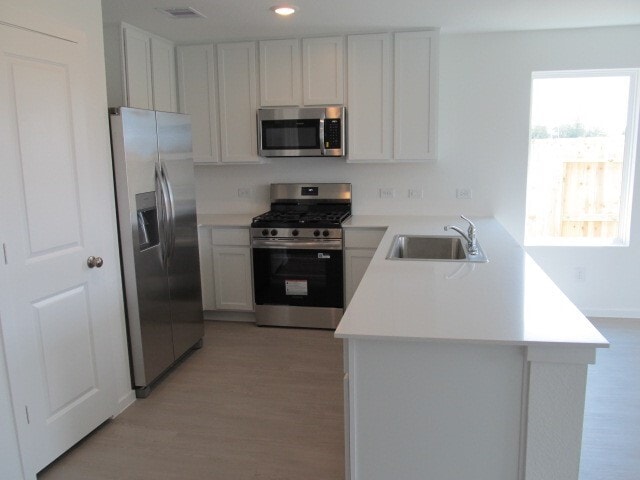 Building Photo - 9239 Coral Trout Wy