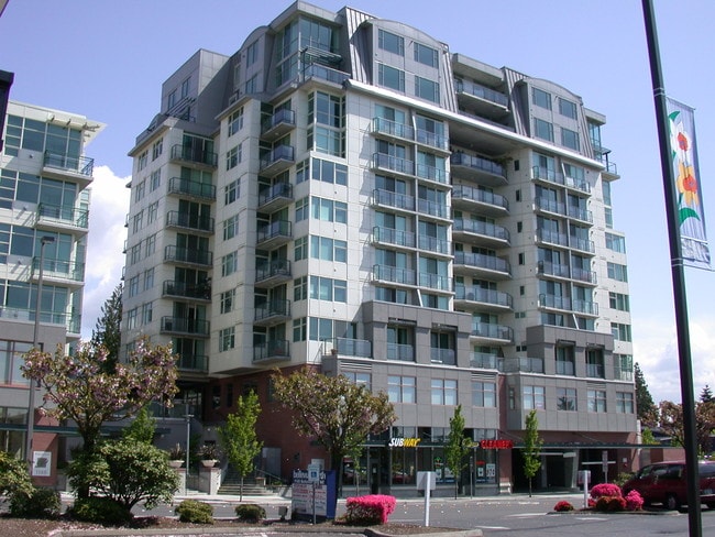 Primary Photo - Palazzo