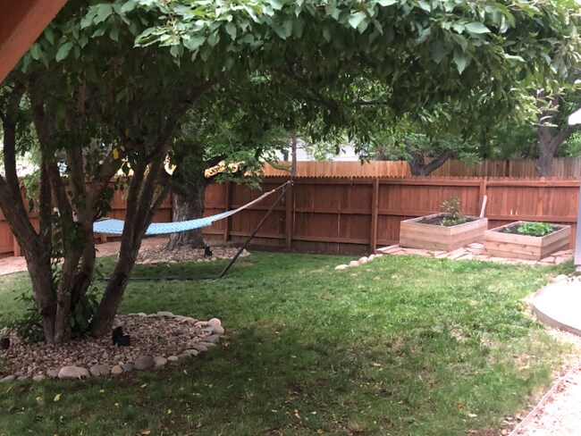 Building Photo - 1025 Sparta Dr