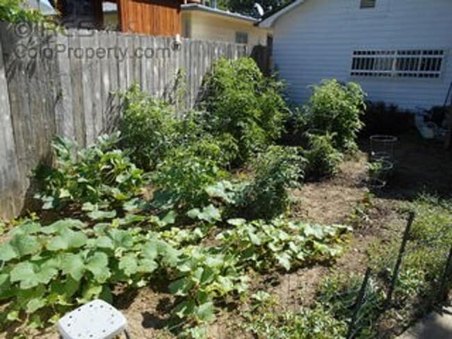 Building Photo - 4 Bedroom Duplex