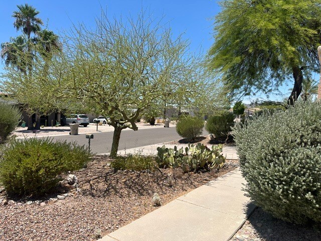 Building Photo - 17216 E Salida Dr