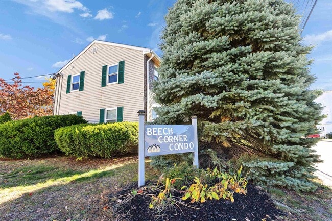 Primary Photo - 147 Beech St