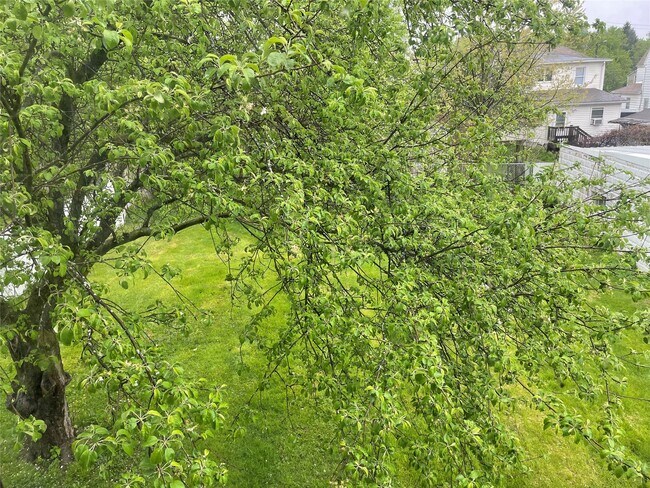 Building Photo - 14 Merrill St