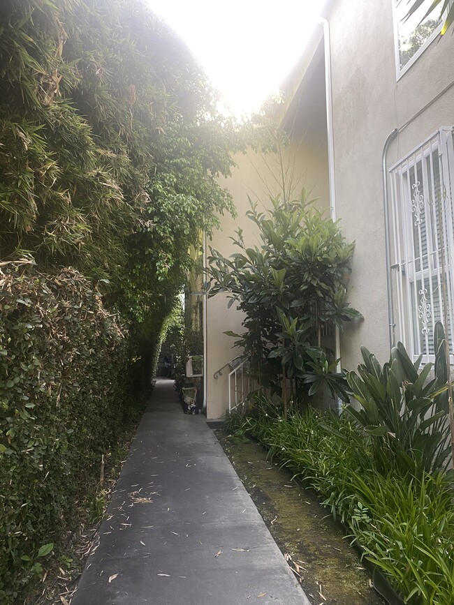 Entryway to Apartments - 1139 S Bedford St