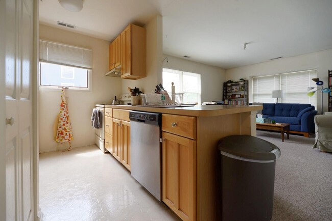 Kitchen/Living Room - 63 Moran Ave