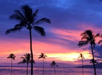 Building Photo - 938 S Kihei Rd