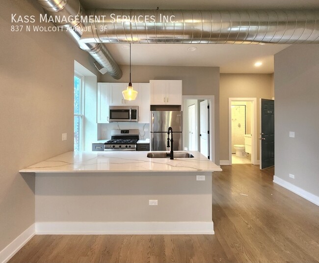 Building Photo - Amazing, Newly Rehabbed 2 BR in West Town