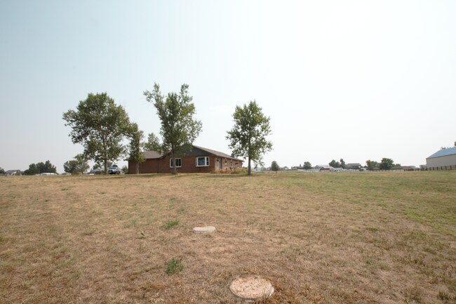 Building Photo - 11377 Nucla St