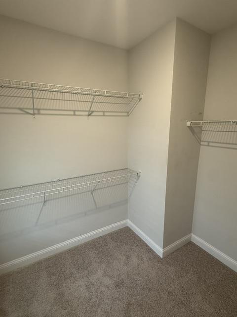 Building Photo - 4225 Woodcliffe Dr