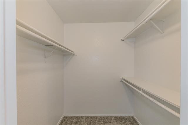 Building Photo - 2762 Parkchester Dr