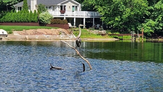 Building Photo - 49 Hayden Pond Rd