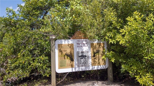 Building Photo - 3111 Cottonwood Bend