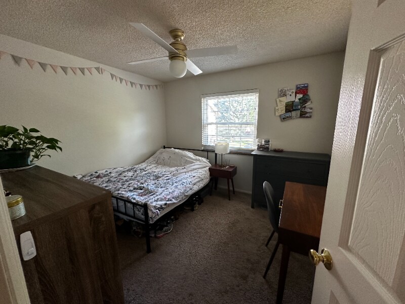 Building Photo - 3250 O'Neal Cir