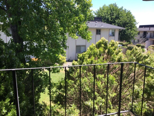 Building Photo - Cute upper-level 1bd. in Rohnert Park ~ Available NOW